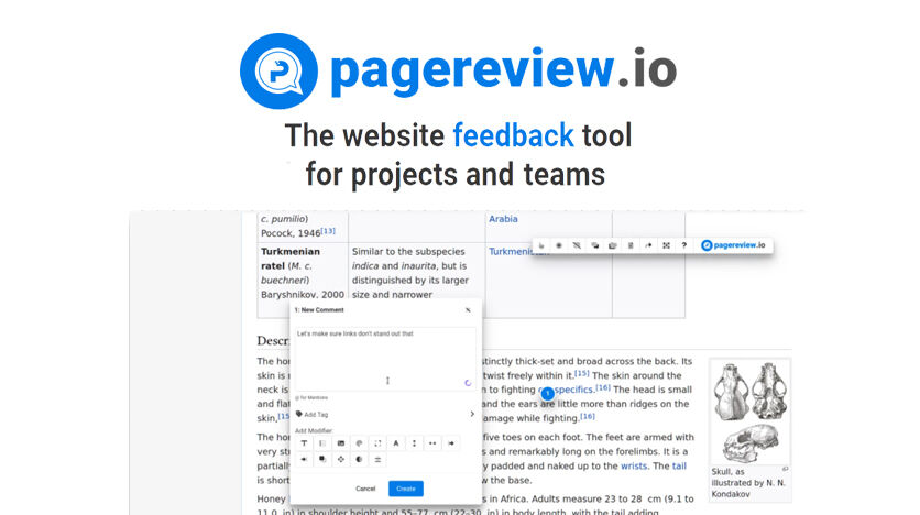 PAGEREVIEW